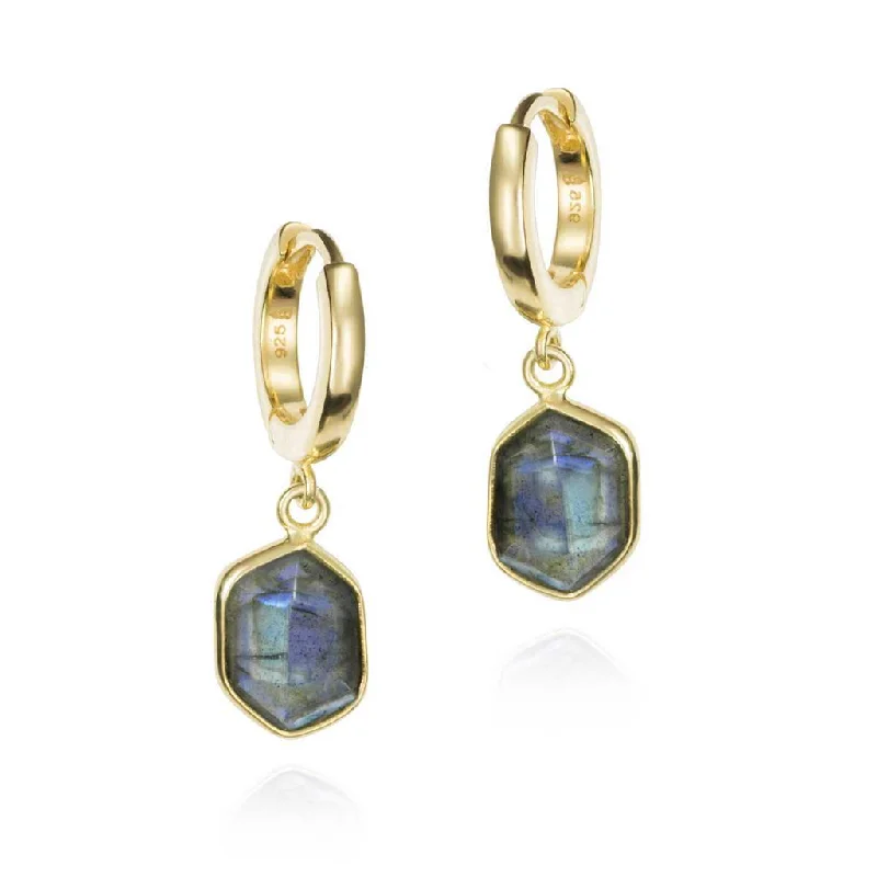 Ladies lightweight chandelier earrings -18K Yellow Gold Vermeil Hexagon Labradorite Dangle Earrings